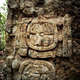 Image for article titled Enormous, ancient Maya city found in Yucatán jungle